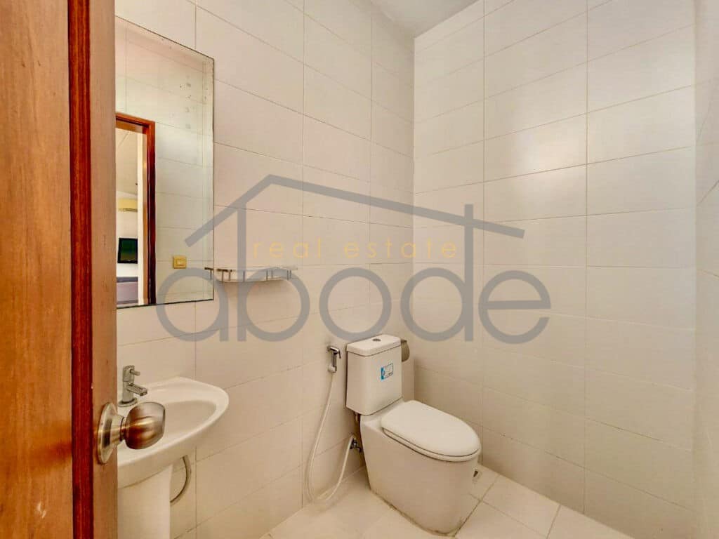 large 2 bedroom apartment for rent Russian Market