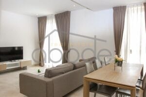 modern 2 bedroom apartment for rent tonle bassac