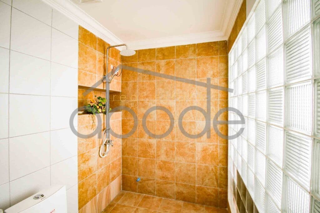 1 bedroom apartment for rent Russian Hospital