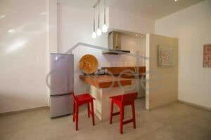 Open plan 1 bedroom apartment elevator access for rent Daun Penh