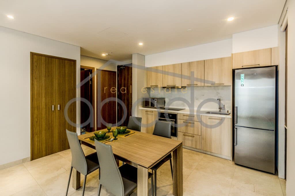 1 bedroom apartment for rent Embassy Residence Tonle Bassac