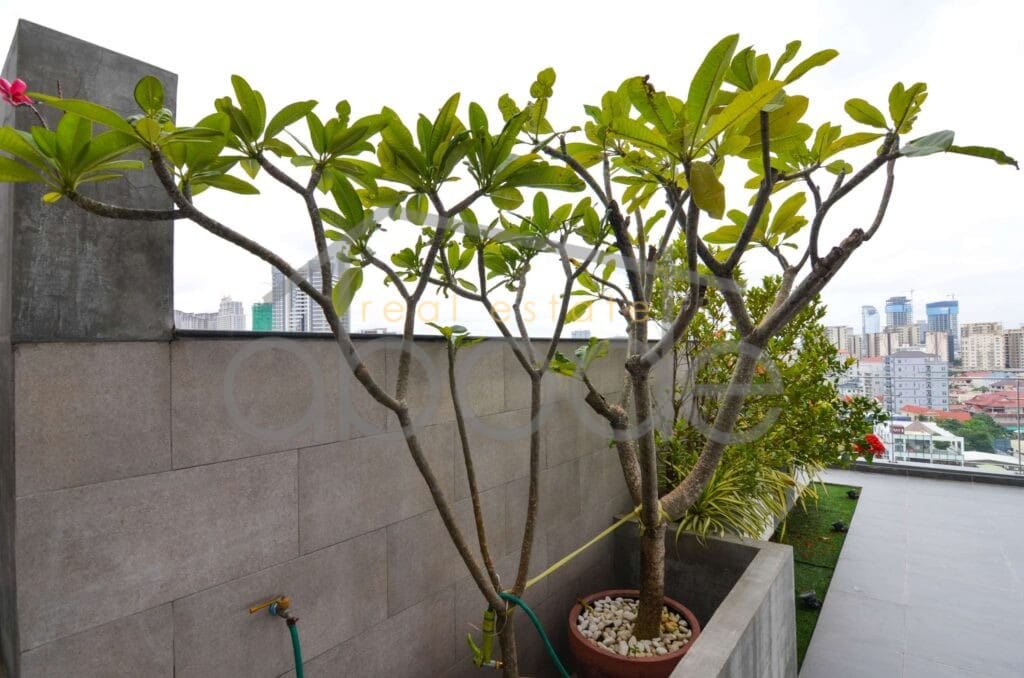 2 bedroom apartment for rent Tuol Kork