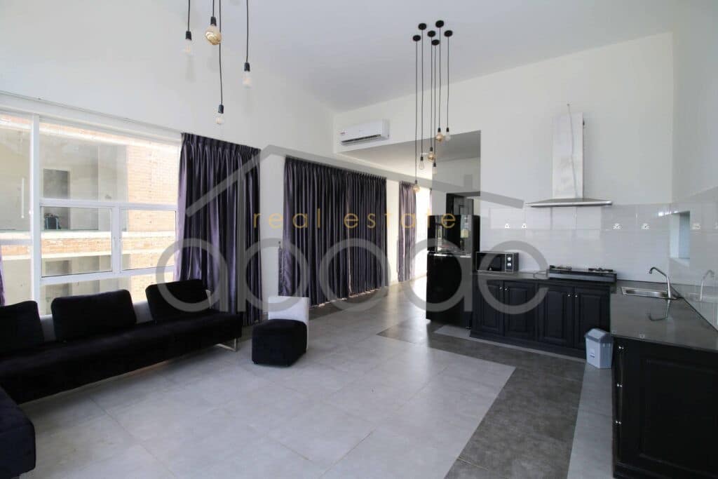 Penthouse apartment river views for rent Bassac Lane