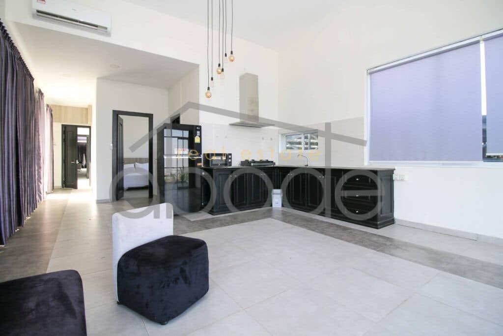 Penthouse apartment river views for rent Bassac Lane