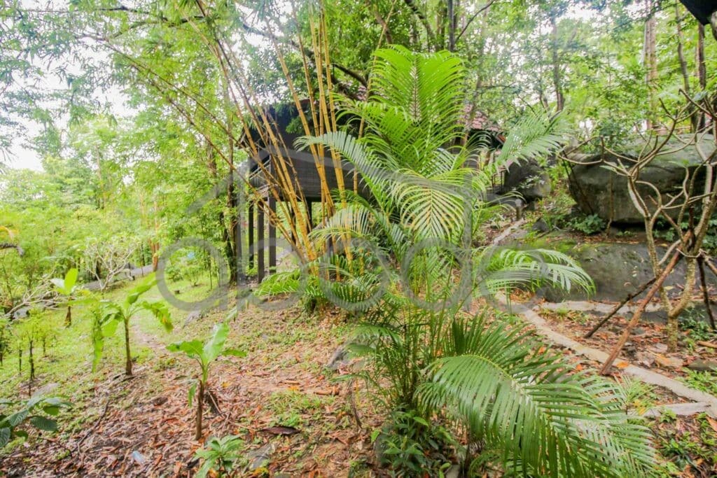 Resort garden setting for sale Sihanoukville