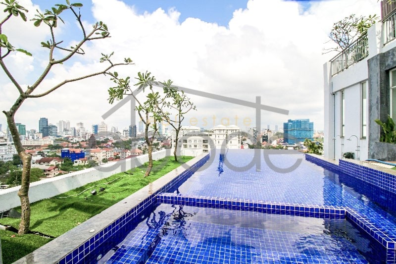 Luxury 2-bedroom apartment with rooftop swimming pool for rent Bassac Lane