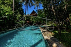 2 bedroom villa for rent Chroy Changvar swimming pool