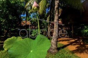 2 bedroom traditional villa for rent Chroy Changvar