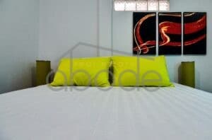 TLBB.C1 2 bedroom post colonial villa for rent Tonle Bassac