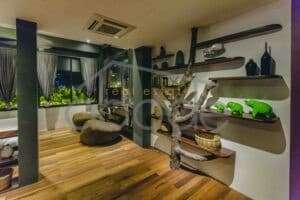 Penthouse apartment for rent Tonle Bassac