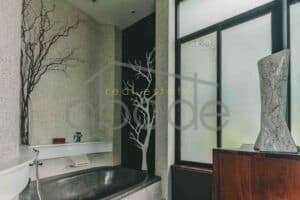 Penthouse apartment for rent Tonle Bassac