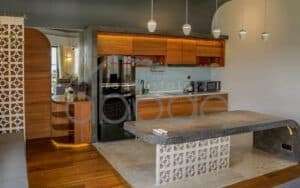 Penthouse apartment for rent Tonle Bassac