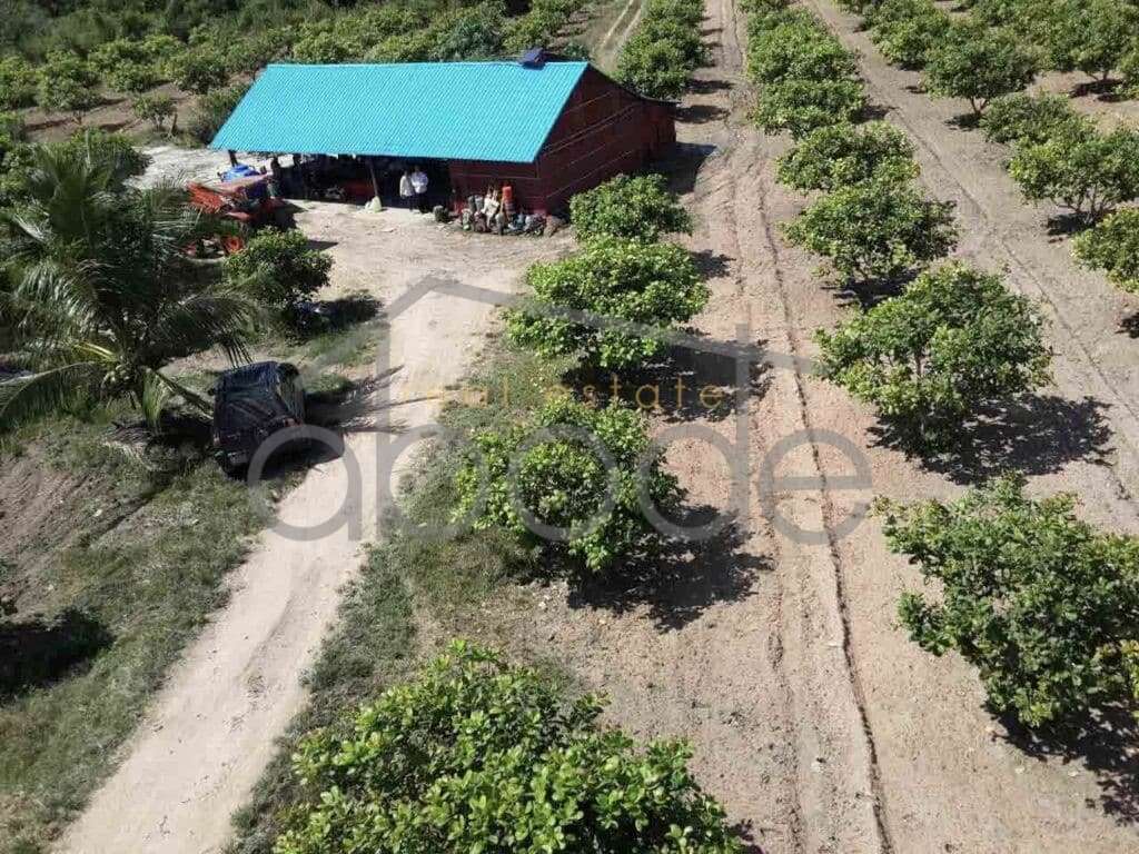 land for sale kampong thom