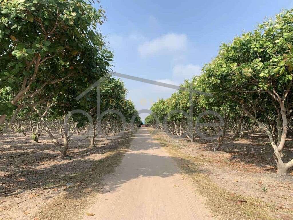 land for sale kampong thom