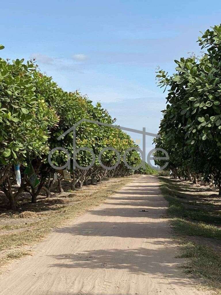 land for sale kampong thom