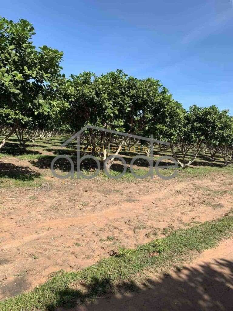 land for sale kampong thom