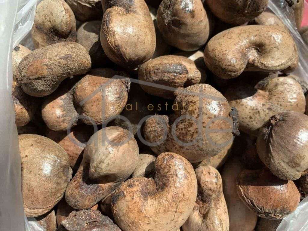 land for sale kampong thom