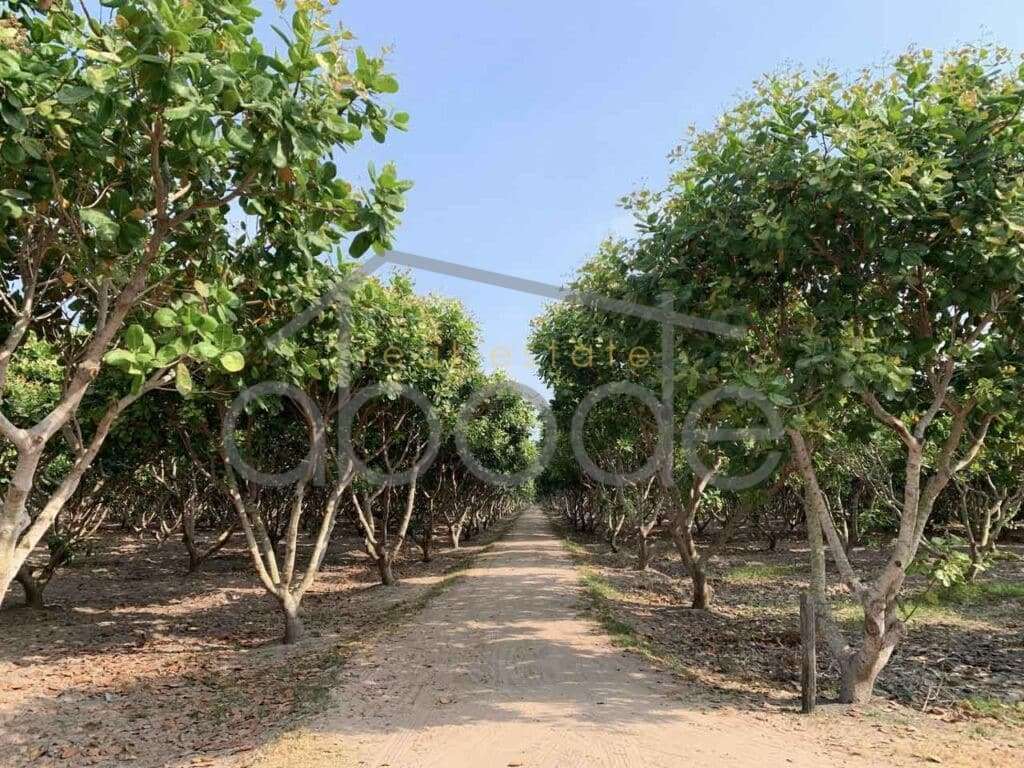 land for sale kampong thom