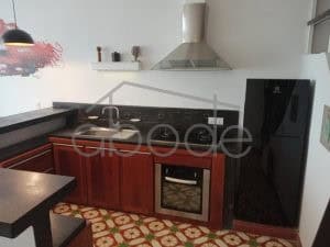 2 bedroom duplex apartment colonial Riverside Daun Penh for rent