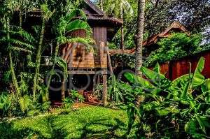 Large 3 bedroom villa set in lush gardens for rent Chroy Changvar