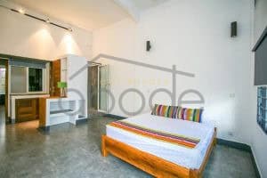 Colonial fusion renovated apartmentfor rent Daun Penh Phnom Penh