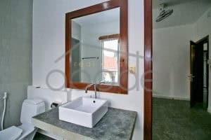 3 bedroom apartment for rent Bassac Lane ventral Phnom Penh