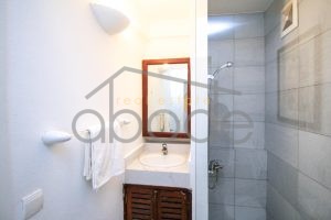 Colonial riverfront apartment for rent
