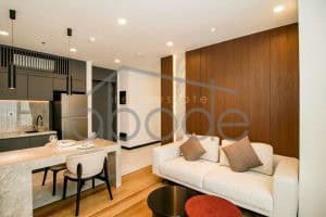 Modern apartment for rent Daun Penh central Phnom Penh