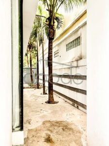 Villa for rent Sen Sok