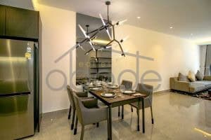 apartment for rent BKK 1 central Phnom Penh