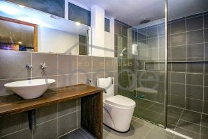 apartment for rent Daun Penh central Phnom Penh 1 bedroom duplex DP9F5