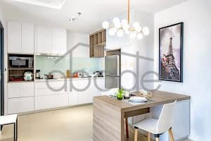 apartment for rent BKk 1 BKK1AP8