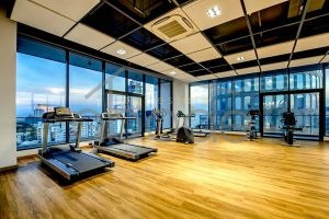 apartment for rent BKK1 BKK1AP9