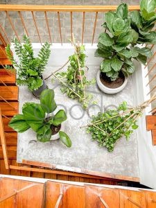 apartment for rent BKK 1 central Phnom Penh BKK1M4