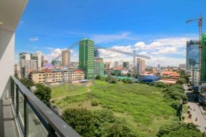 Apartment for rent Daun Penh DP9C12