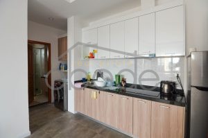 apartment for rent daun penh DP9O5