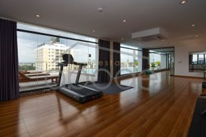 apartment for rent daun penh DP9O5