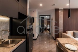 apartment for rent Daun Penh DP9P14
