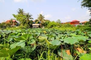 Land for sale Kandal Province KANA11