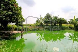 Land for sale Kandal Province KANA11