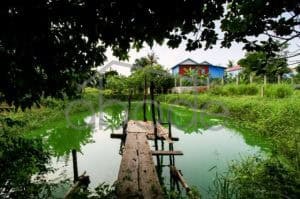 Land for sale Kandal Province KANA11