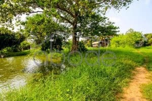 Land for sale Kandal Province KANA11