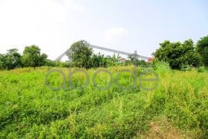 Land for sale Kandal Province KANA11