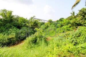 Land for sale Kandal Province KANA11