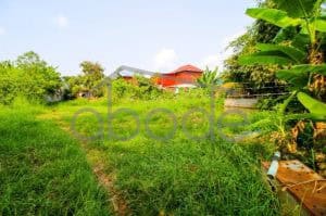 Land for sale Kandal Province KANA11