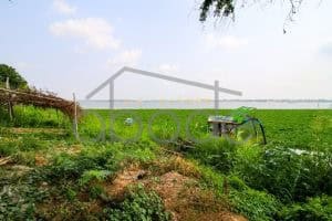 Land for sale Kandal Province KANA11