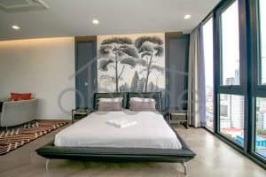 penthouse apartment for rent BKK 1 central Phnom Penh