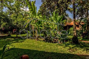villa for rent chroy changvar PLAA1
