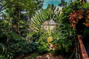 villa for rent chroy changvar PLAA1