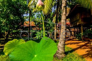 villa for rent chroy changvar PLAA1
